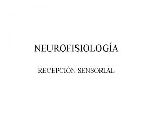 NEUROFISIOLOGA RECEPCIN SENSORIAL INTRODUCCIN La informacin accede al