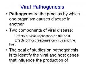 Viral Pathogenesis Pathogenesis the process by which one