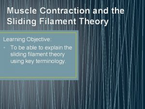 Muscle Contraction and the Sliding Filament Theory Learning