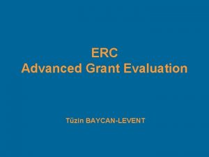 ERC Advanced Grant Evaluation Tzin BAYCANLEVENT Domain and