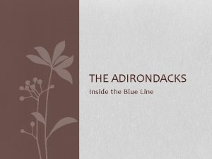 THE ADIRONDACKS Inside the Blue Line Adirondack Statistics