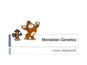 Mendelian Genetics C Kohn Waterford WI Genetics Genetics