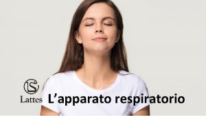 Lapparato respiratorio La funzione dellapparato respiratorio Per poter