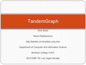 Tandem Graph Dina Sokol Ramin Rakhamimov http tandem