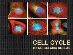 CELL CYCLE BY NURJULAIHA ROSLAN CELL CYCLE Sequence