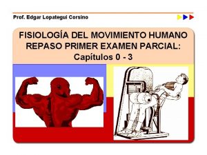 Prof Edgar Lopategui Corsino FISIOLOGA DEL MOVIMIENTO HUMANO