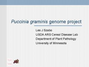 Puccinia graminis genome project Les J Szabo USDA