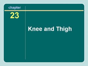 chapter 23 Knee and Thigh The Knee The