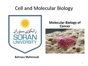 Cell and Molecular Biology of Cancer Behrouz Mahmoudi