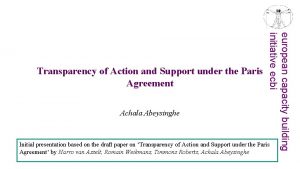 Achala Abeysinghe european capacity building initiative ecbi Transparency