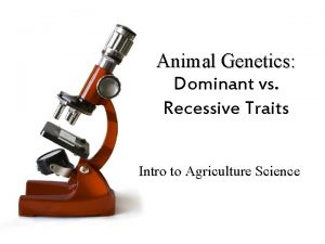 Animal Genetics Dominant vs Recessive Traits Intro to