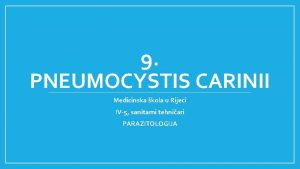 9 PNEUMOCYSTIS CARINII Medicinska kola u Rijeci IV5