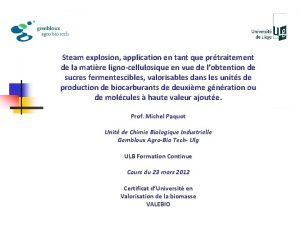 Steam explosion application en tant que prtraitement de