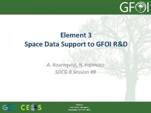 Element 3 Space Data Support to GFOI RD