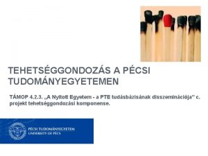 TEHETSGGONDOZS A PCSI TUDOMNYEGYETEMEN TMOP 4 2 3