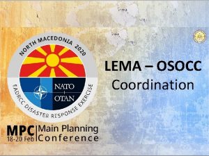LEMA OSOCC Coordination Level of Coordination International level
