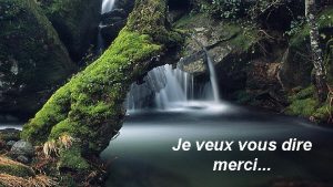 Je veux vous dire merci Pour toutes choses