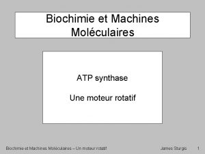 Biochimie et Machines Molculaires ATP synthase Une moteur