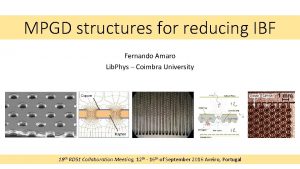 MPGD structures for reducing IBF Fernando Amaro Lib