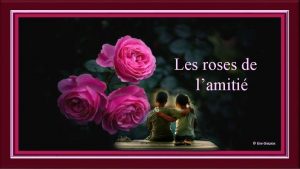 Les roses de lamiti Lamiti cest plus stable