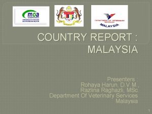 COUNTRY REPORT MALAYSIA Presenters Rohaya Harun D V