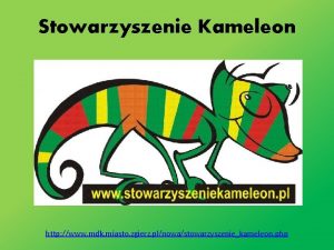 Stowarzyszenie Kameleon http www mdk miasto zgierz plnowastowarzyszeniekameleon