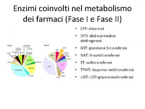 Enzimi coinvolti nel metabolismo dei farmaci Fase I