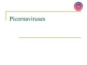 Picornaviruses Picornaviruses n n n Small pico RNA