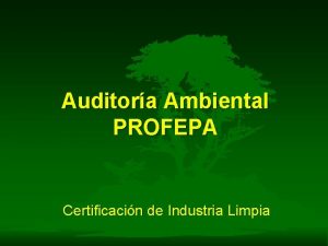 Auditora Ambiental PROFEPA Certificacin de Industria Limpia Antecedentes