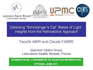 Detecting Schrdingers Cat States of Light Insights from