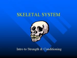 SKELETAL SYSTEM Intro to Strength Conditioning The Skeletal