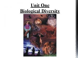 Unit One Biological Diversity What does it mean