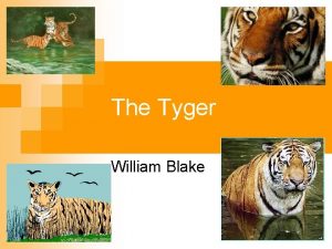 The Tyger William Blake What words would you