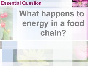 Essential Question What happens to energy in a