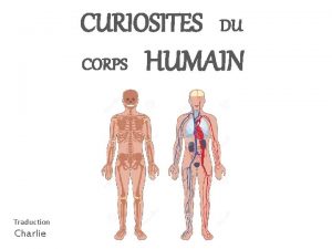 CURIOSITES CORPS HUMAIN Diaporama PPS ralis pour http