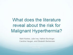 What does the literature reveal about the risk