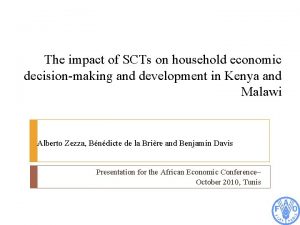The impact of SCTs on household economic decisionmaking