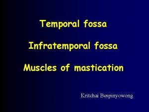 Temporal fossa Infratemporal fossa Muscles of mastication Kritchai