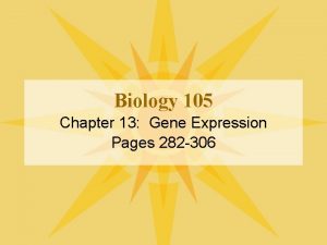 Biology 105 Chapter 13 Gene Expression Pages 282