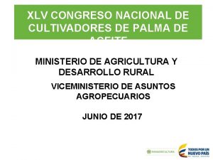 XLV CONGRESO NACIONAL DE CULTIVADORES DE PALMA DE