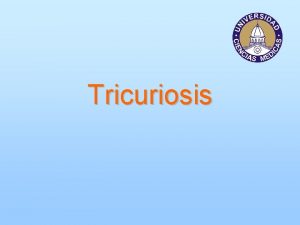 Tricuriosis Tricuriosis Infeccin del intestino grueso del ser