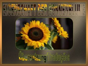 Eigne dir die Eigenschaft der Sonnenblume an Sie