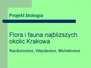 Projekt biologia Flora i fauna najbliszych okolic Krakowa