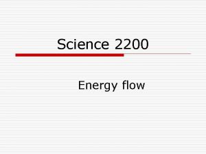 Science 2200 Energy flow Review Trophic Levels o