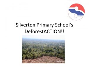 Silverton Primary Schools Deforest ACTION Our Action Silverton