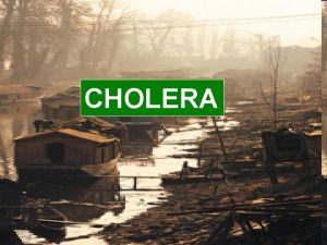 CHOLERA PENYEBAB VIBRIO CHOLERA DAN VIBRIO ELTOR ENTERO