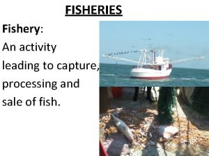 FISHERIES Fishery An activity leading to capture processing