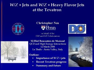 WZ Jets and WZ Heavy Flavor Jets at
