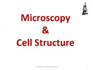 Microscopy Cell Structure Prepared by Amal Awad AlHarbi