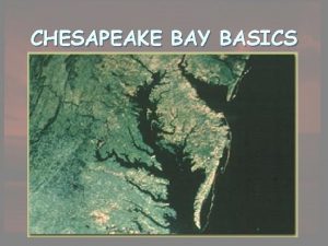 CHESAPEAKE BAY BASICS Chesapeake as an Estuary n